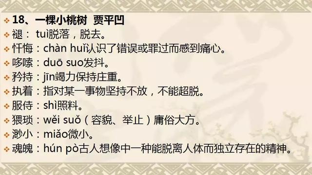 精准一码免费资料大全下载,讲解词语解释释义