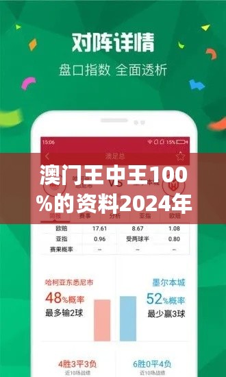 新澳门王中王100%期期中,综合研究解释落实