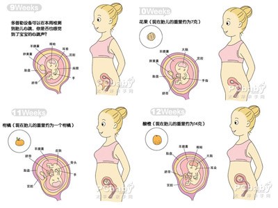 宝宝25个月发育标准解析