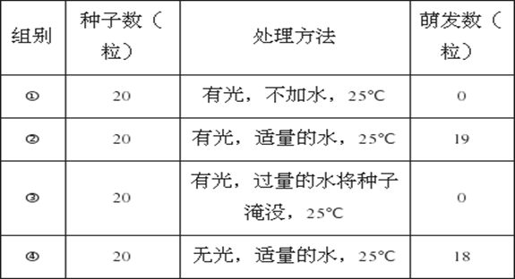 查广东省号码，探索与解析