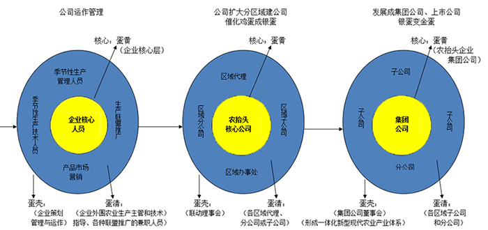 江苏科技平台，创新发展的引擎