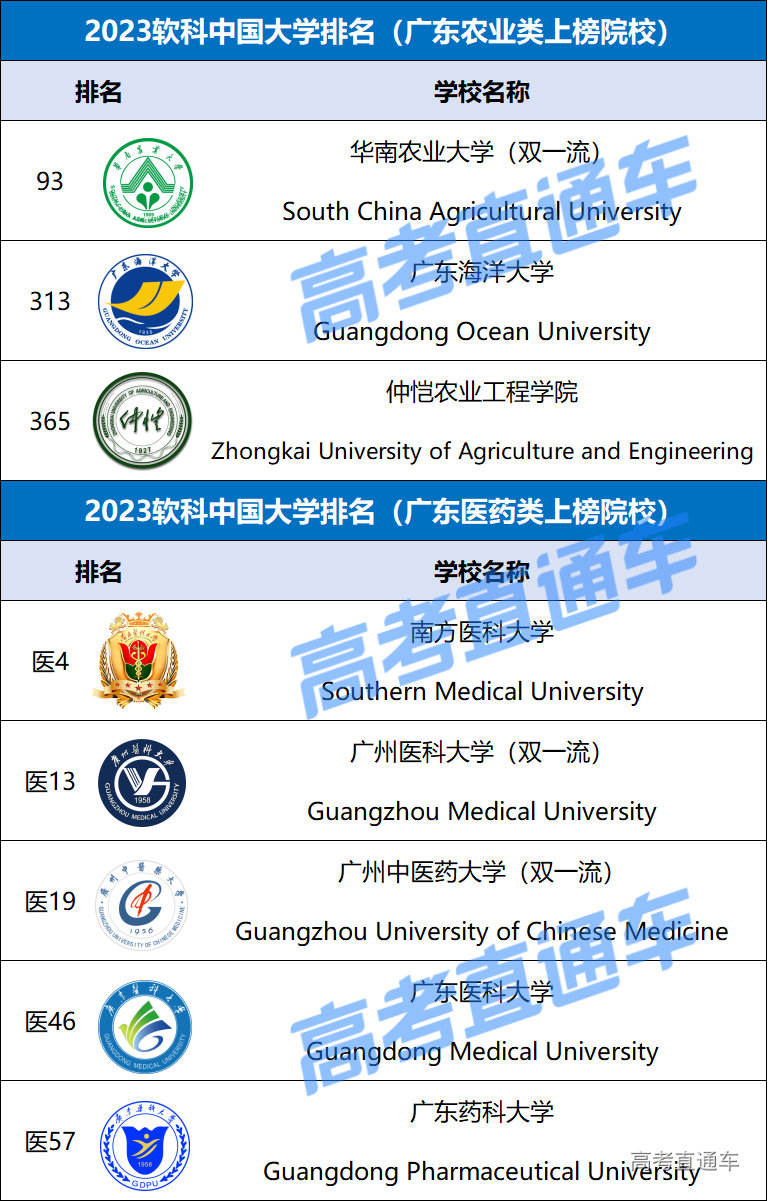 广东省高校名录概览