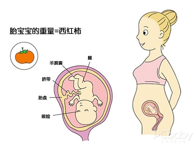 女婴成长里程碑，10个月女婴发育标准详解