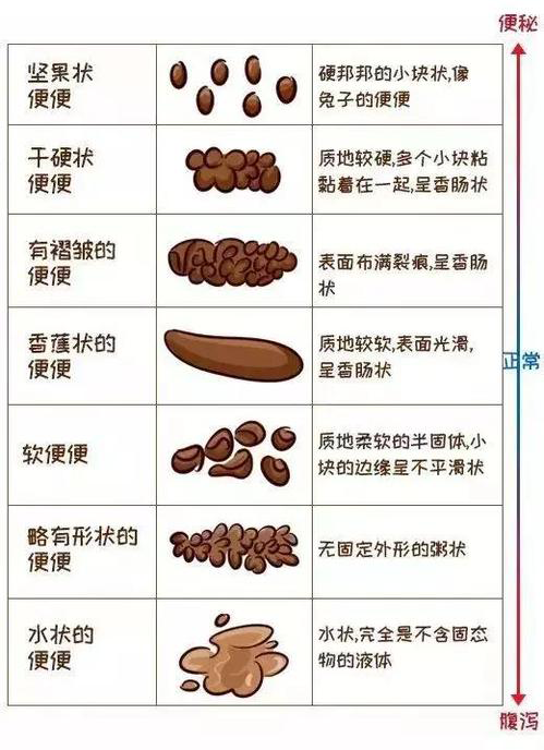 观察 第431页