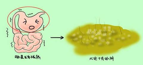 关于三个月宝宝大便中出现奶瓣的分析与应对建议