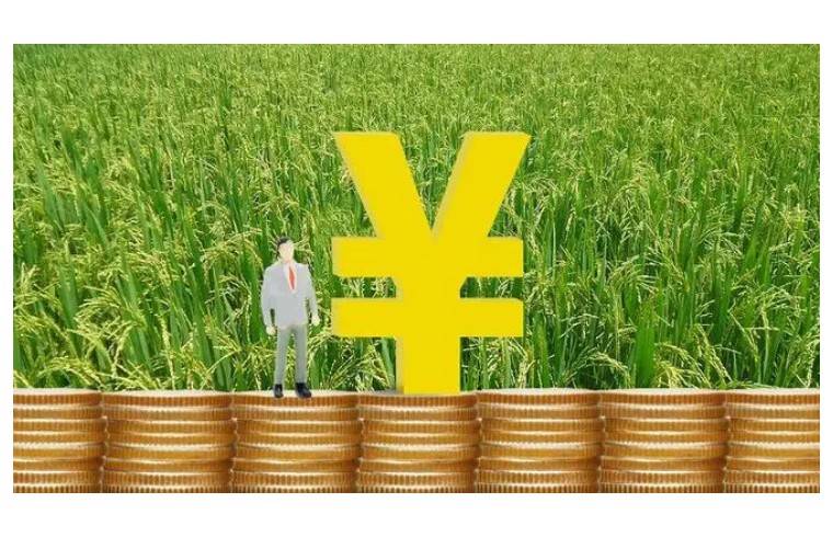 广东省农村创业贷款，助力乡村振兴的金融力量