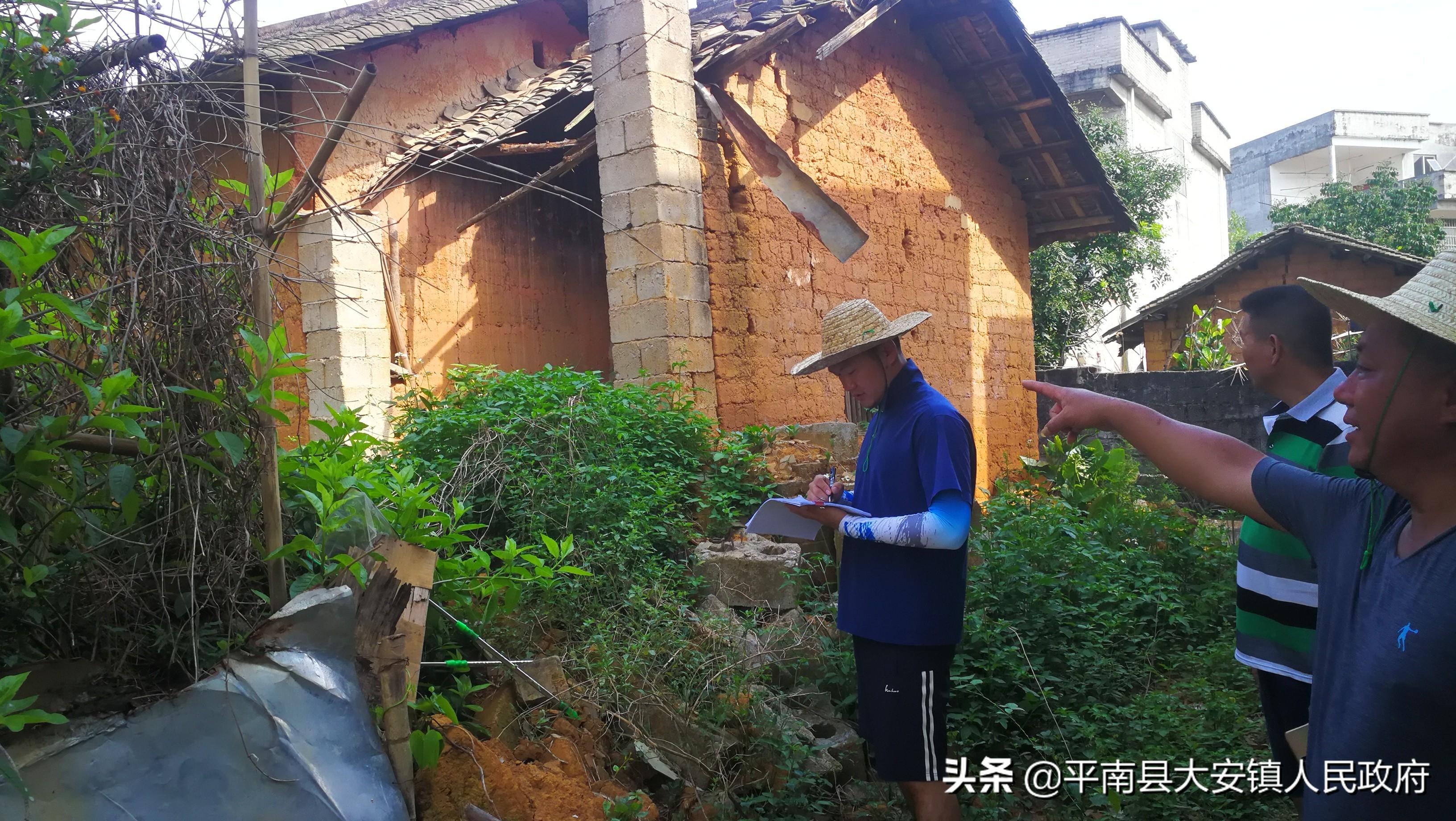 广东省大安村，传统与现代交融的乡村新貌