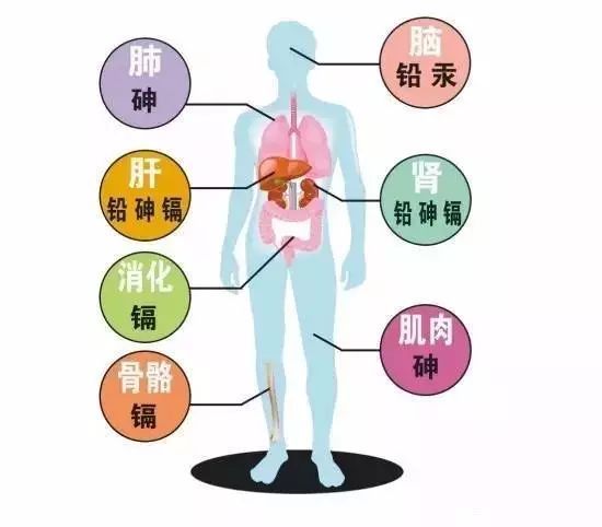 五个月宝宝正常体温范围解析