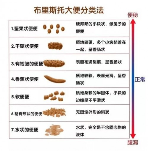 第二个月宝宝大便次数，新手爸妈须知