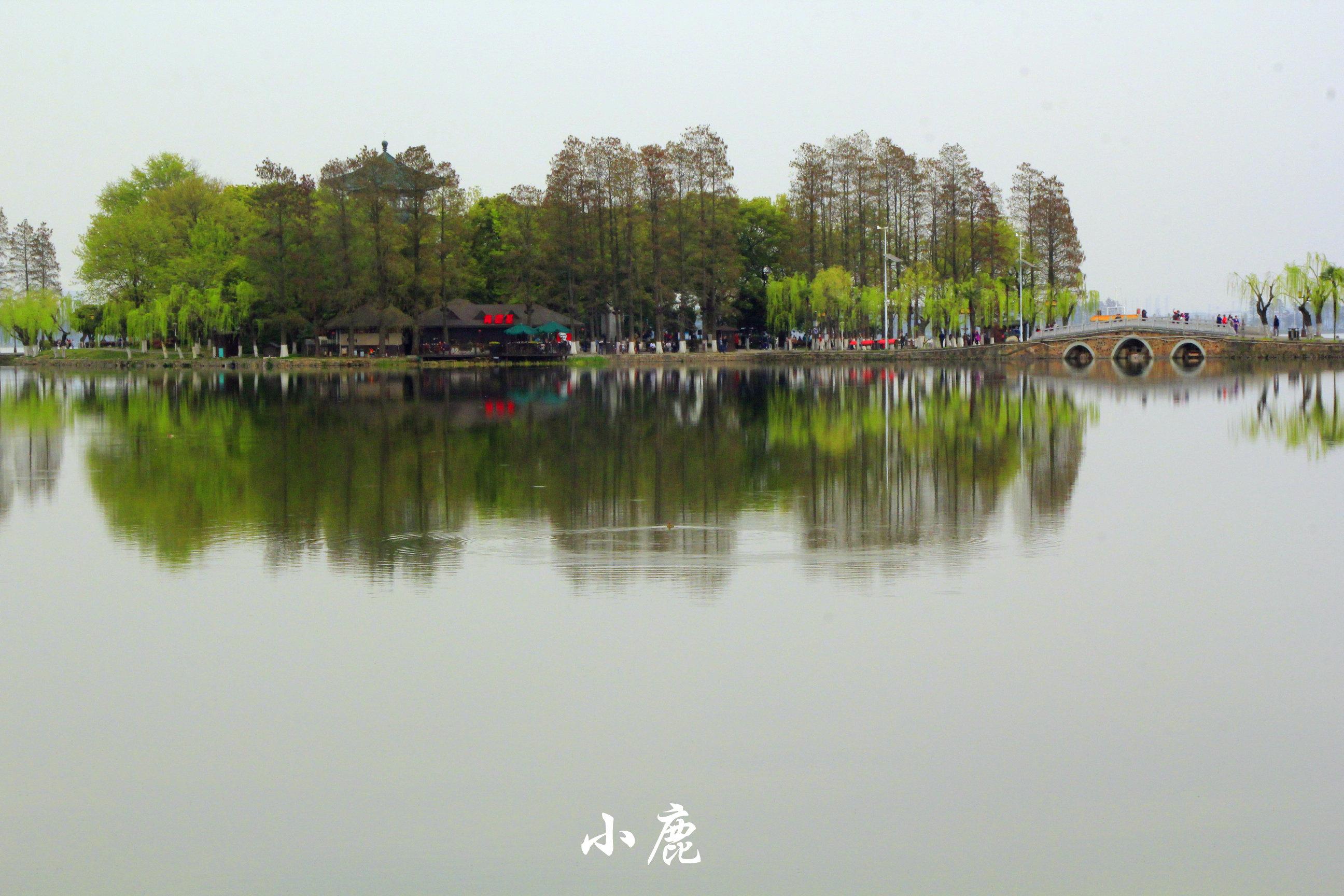 广东省考深圳东湖中学，学府风采与时代印记