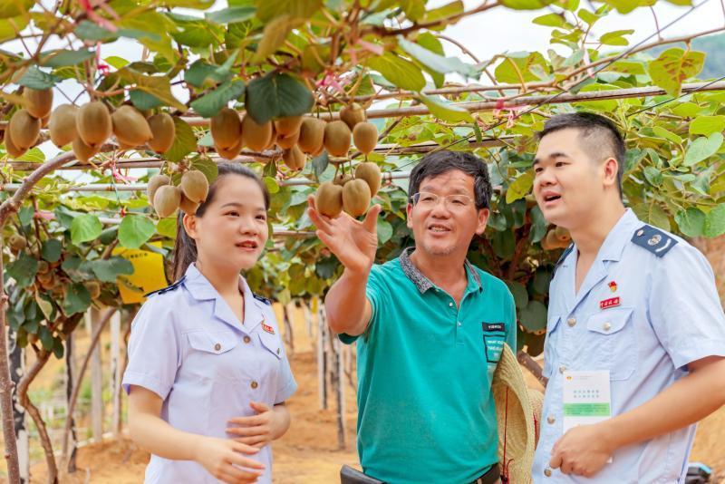 广东省社保多地参保现象研究